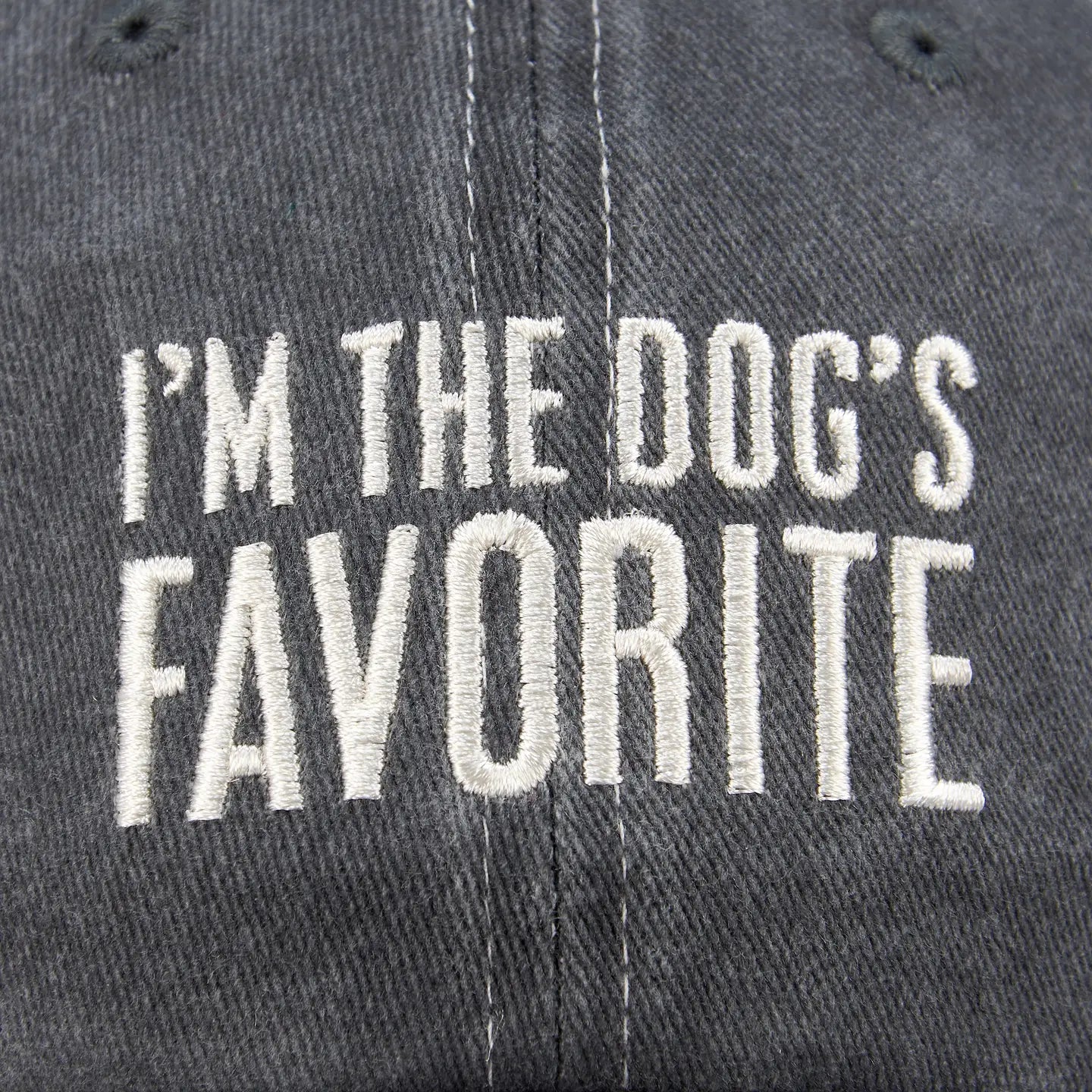 The Dog's Favorite Baseball Hat