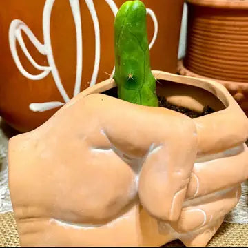 Fist Terracotta Planter Modern