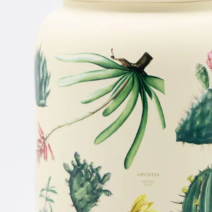 Succulents Stainless Steel Vacuum Flask 32oz