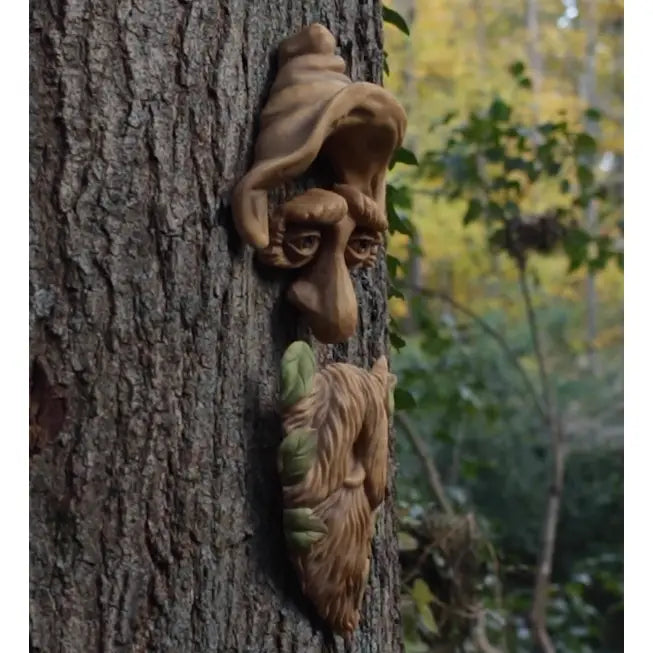 Outdoor Tree Face Birdhouse "Long Hank"