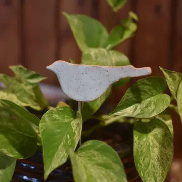 Plant Buddy - Songbird
