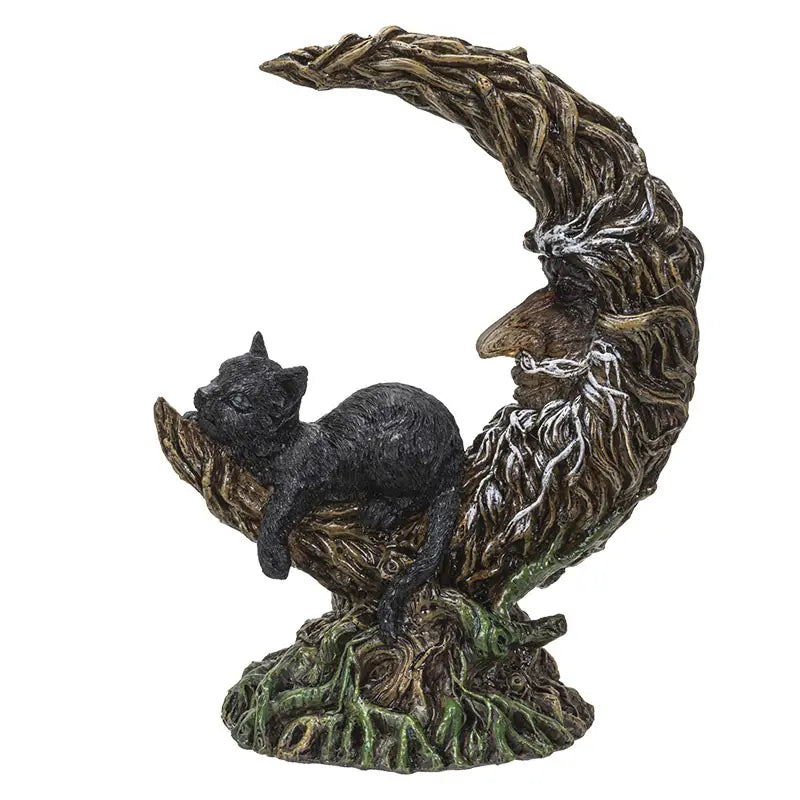 Black Cat Sleeping on Moon