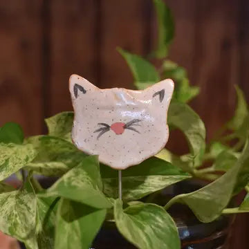 Plant Buddy - Cat