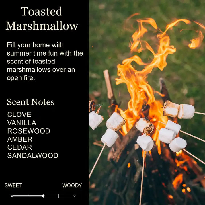 Candle - When You Need to Burn Sh*t