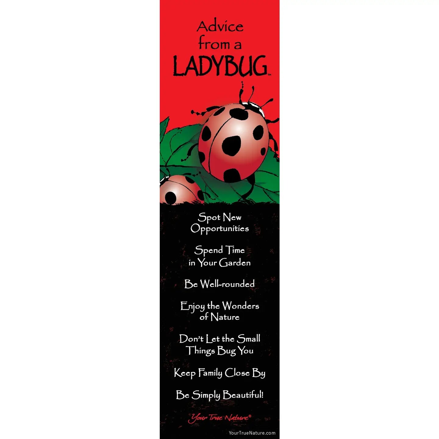 Bookmark Advice from a Ladybug