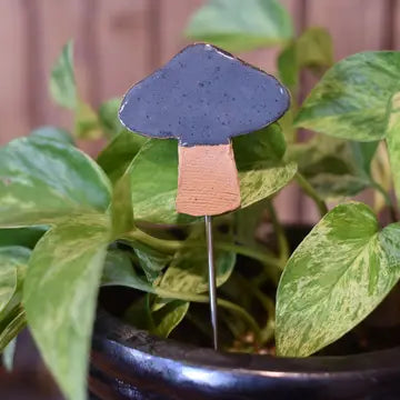 Plant Buddy - Mushroom