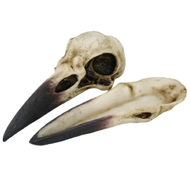 Raven Skull Box