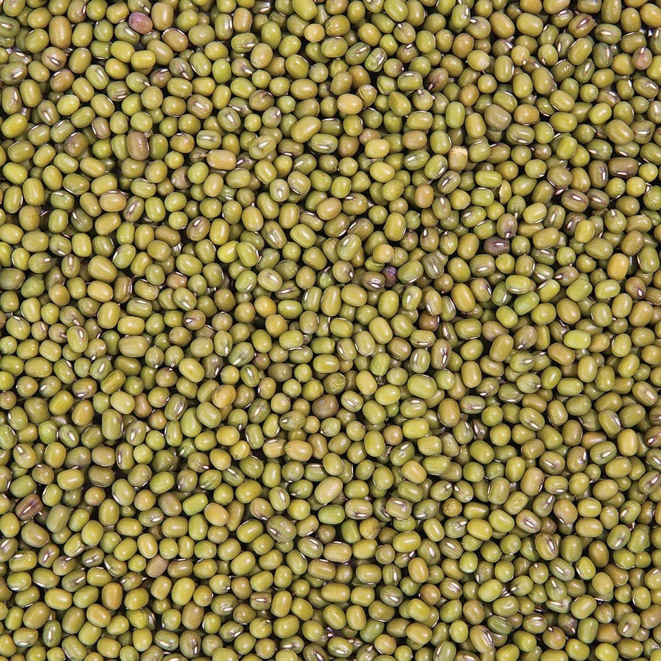 Organic Mung Bean Sprouting Seeds