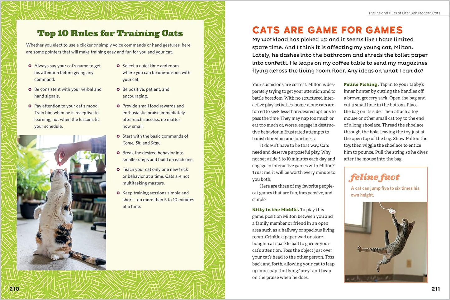 Cat Behavior Answer Book
