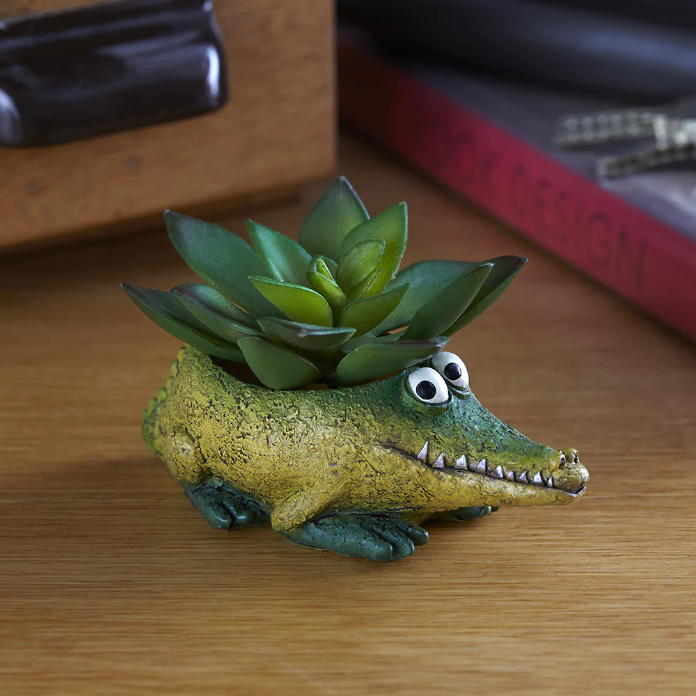 Baby Alligator Kicks Planter