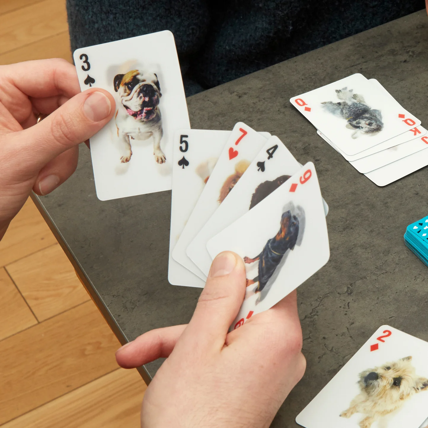 3D Playing Cards Dogs