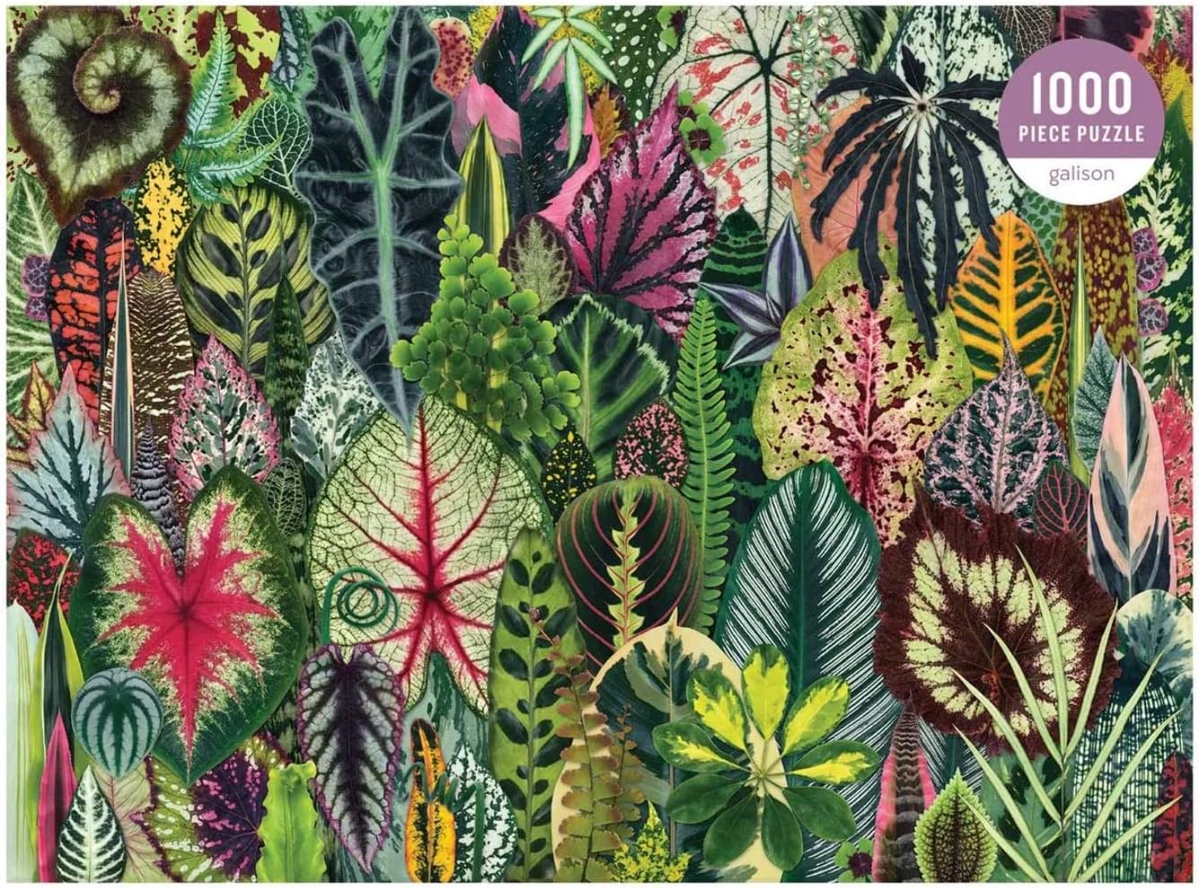 Houseplant Jungle Puzzle 1000pc