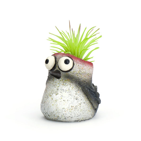 Baby Woodpecker Bird Mini Planter