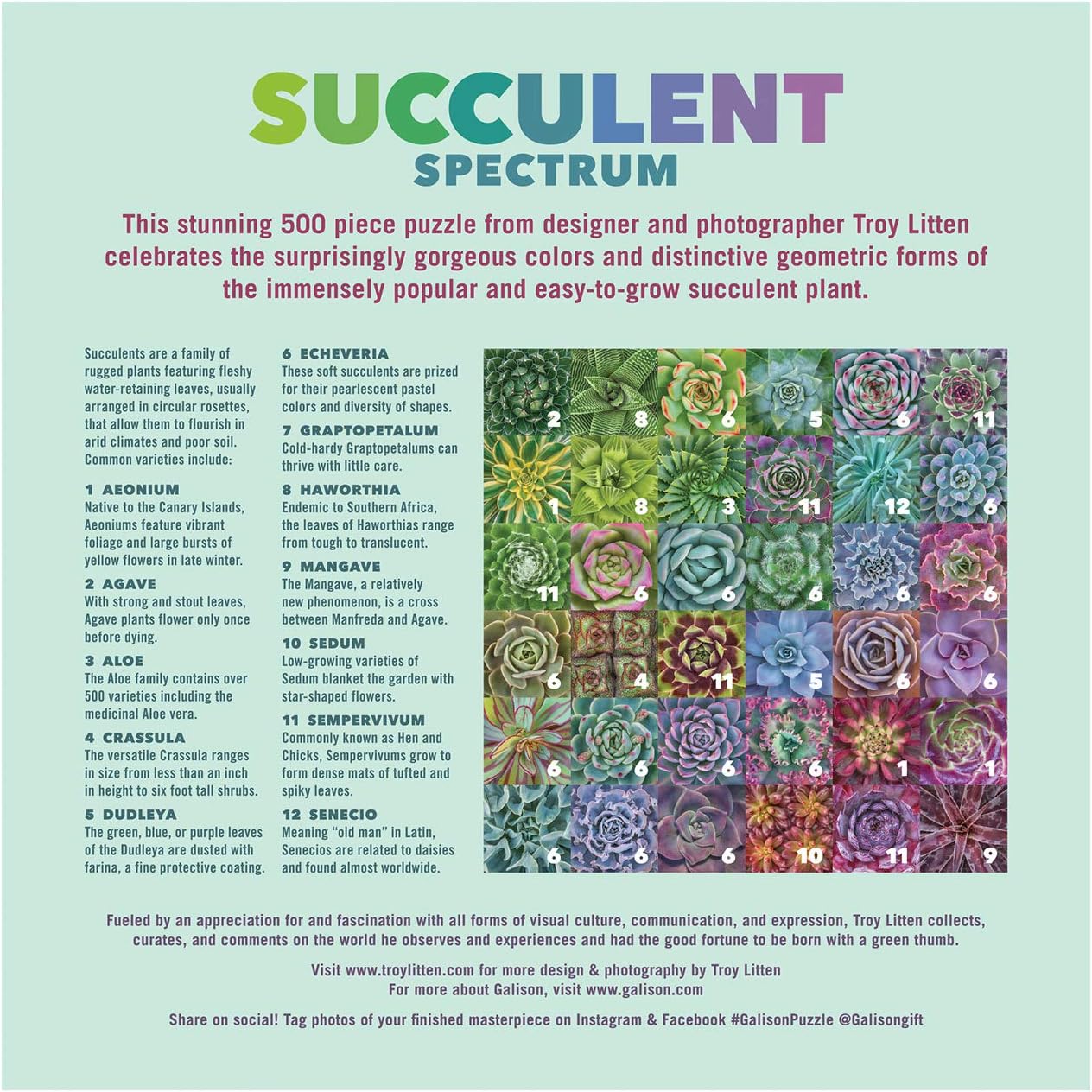 Succulent Spectrum Puzzle