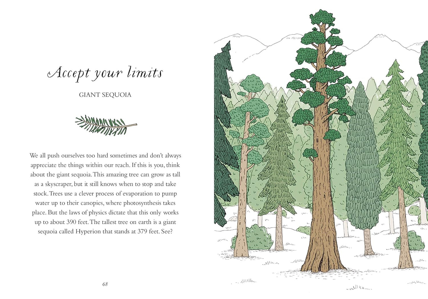 How to Be More Tree Book