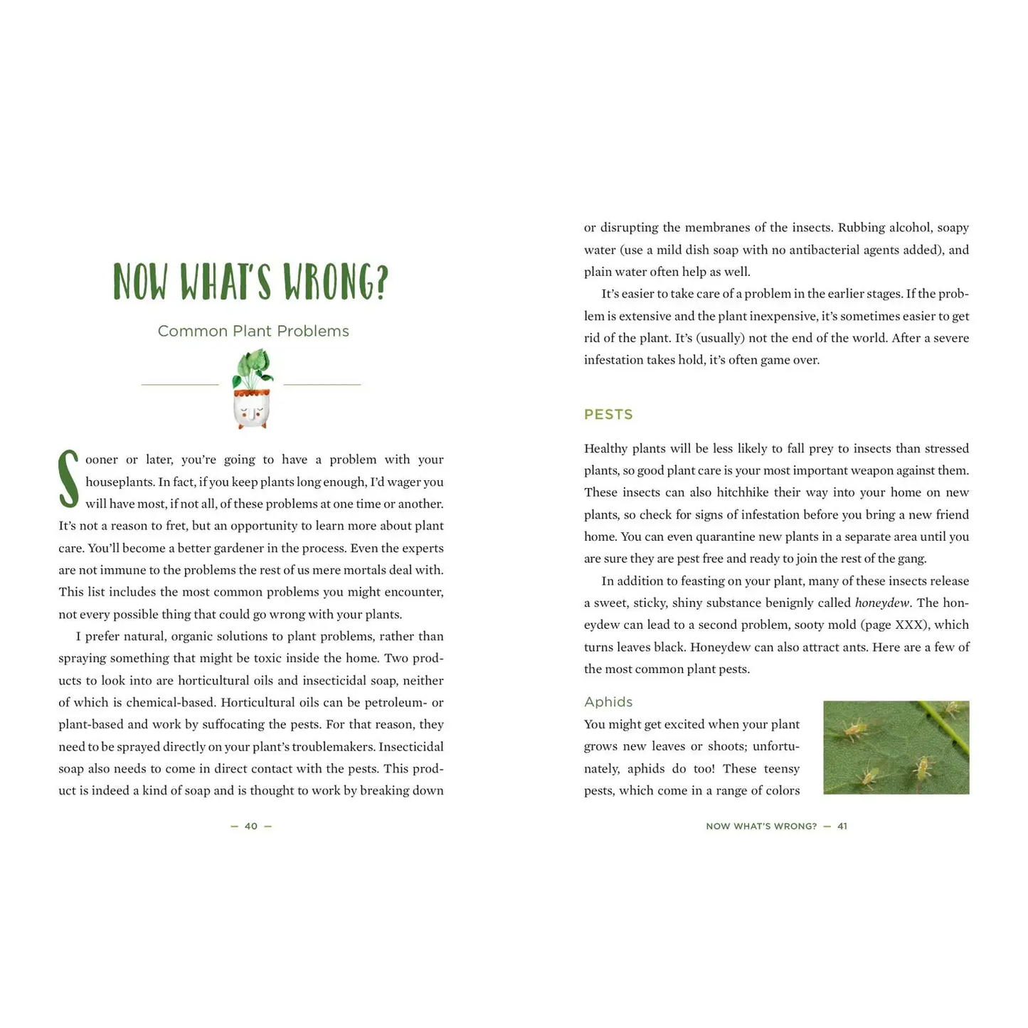 How to Houseplant