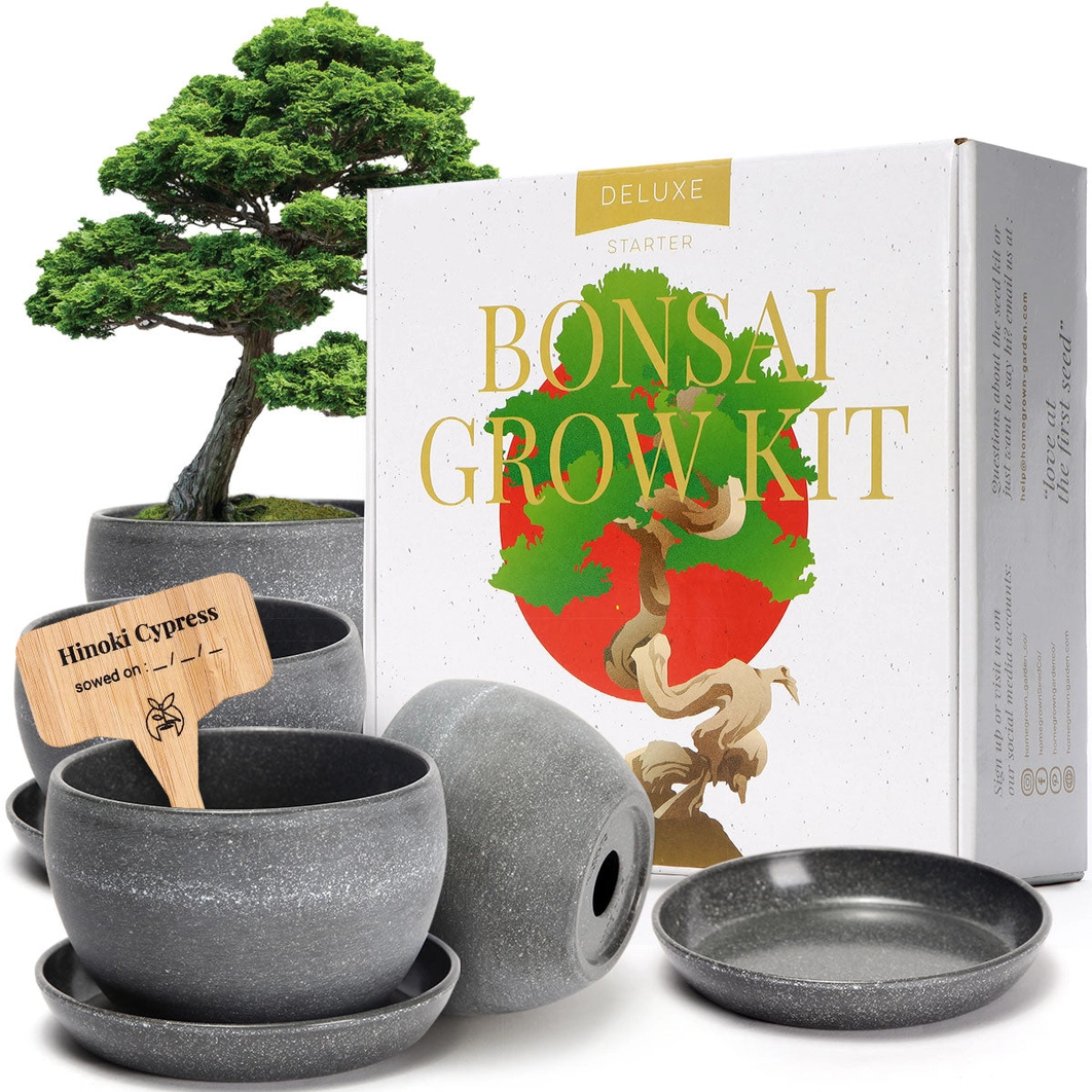 home grown bonsai tree kit Deluxe Bonsai Grow Kit