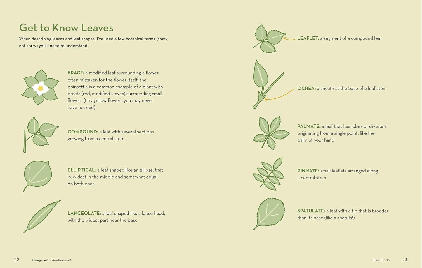How To Forage For Wild Foods Without Dying Book