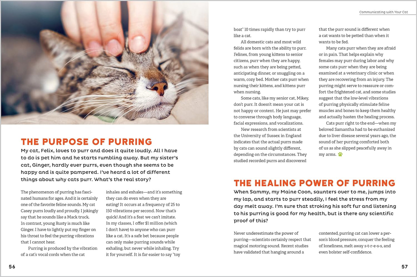 Cat Behavior Answer Book