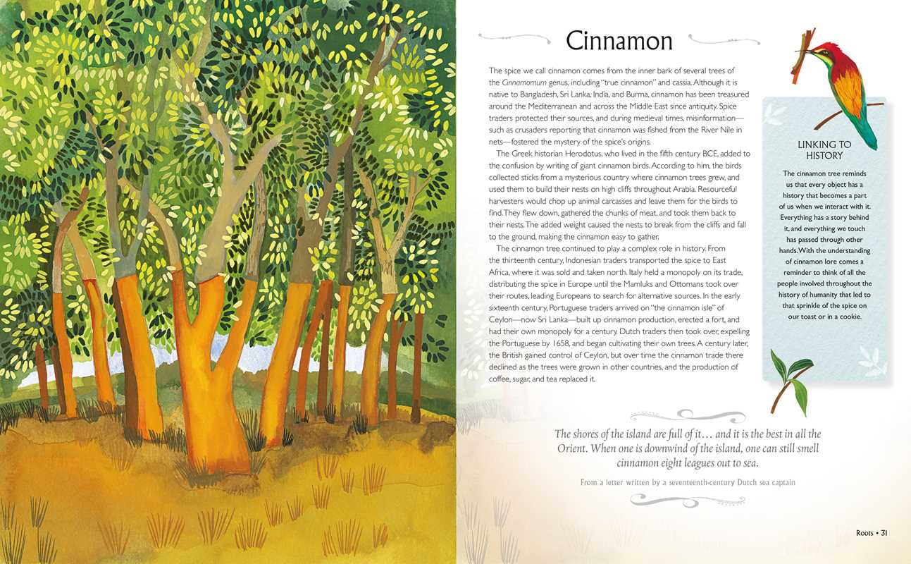 Tree Wisdom Book