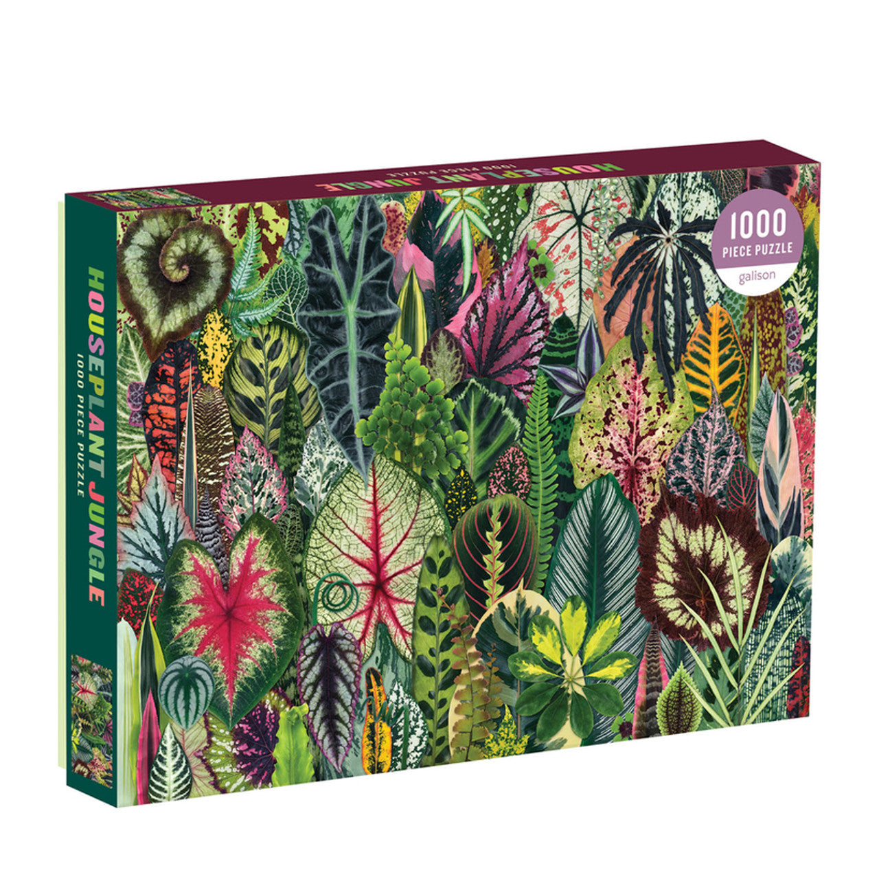 Houseplant Jungle Puzzle 1000pc