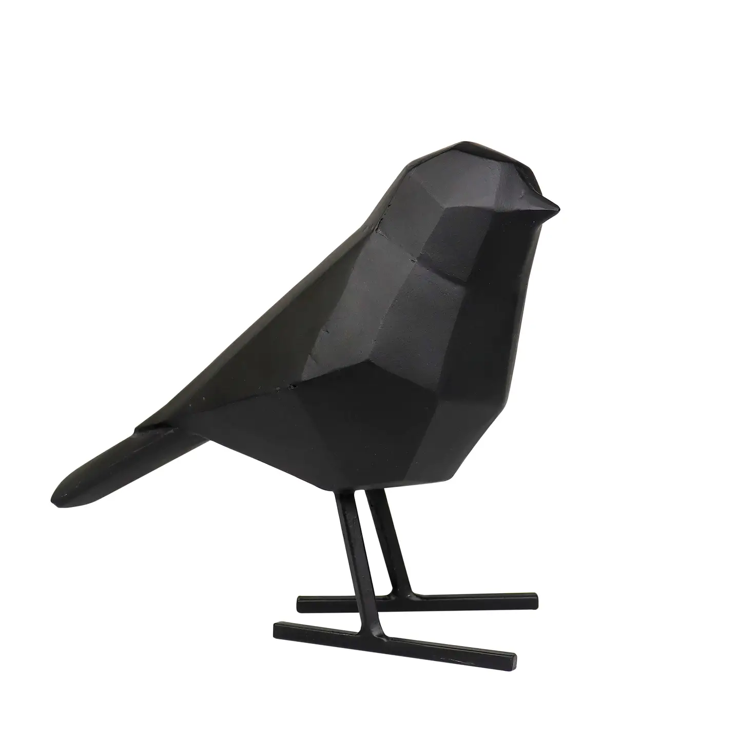Bernie The Black Bird