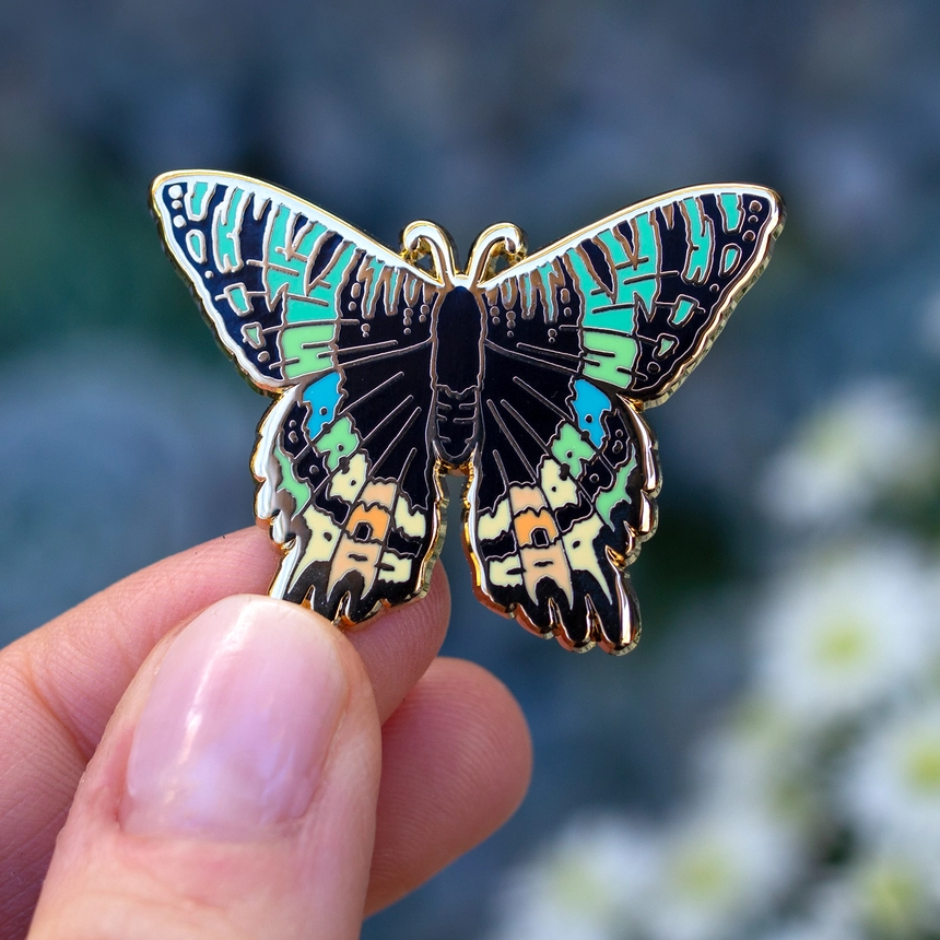 Madagascan Sunset Moth Pin