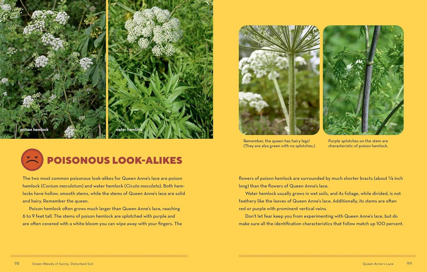 How To Forage For Wild Foods Without Dying Book