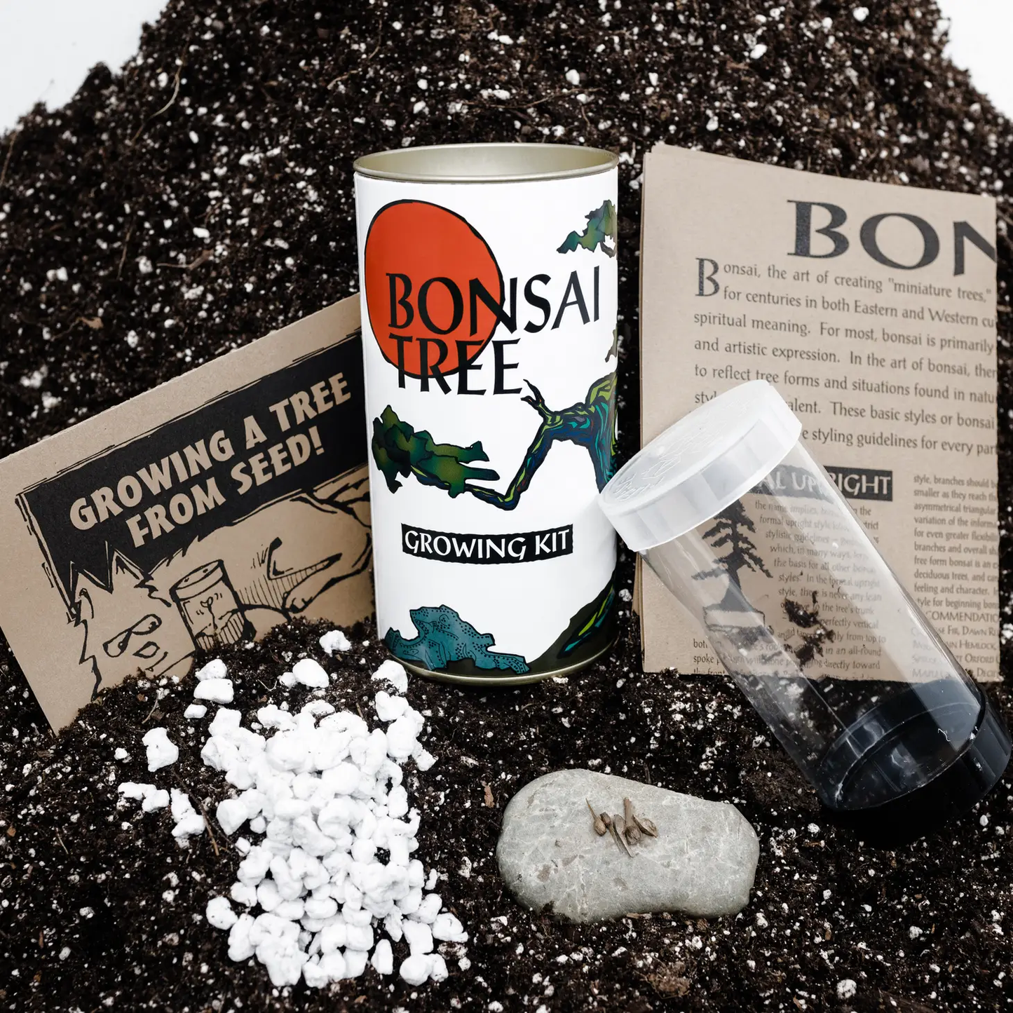 Bonsai Tree Grow Kit Chinese Juniper
