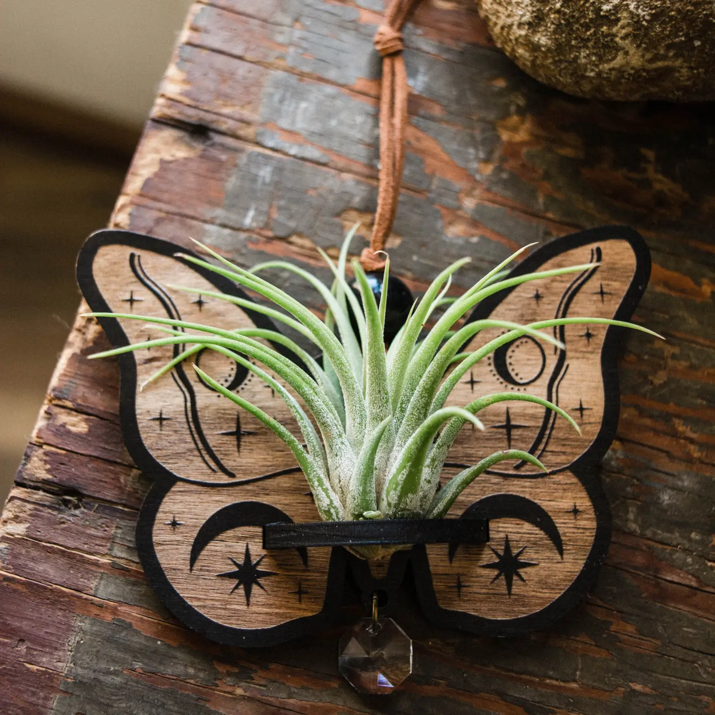 Celestial Moth Air Plant Hanger Suncatcher