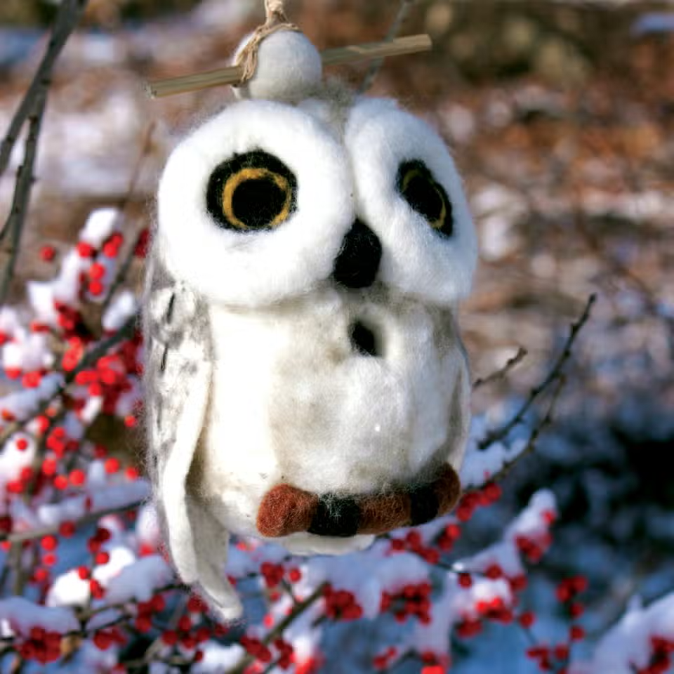 Bird House: Snowy Owl