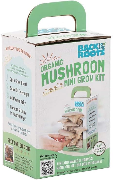 Mini Mushroom Grow Kit