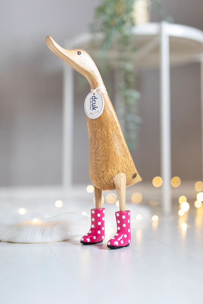 Ducklet with Spotty Boots