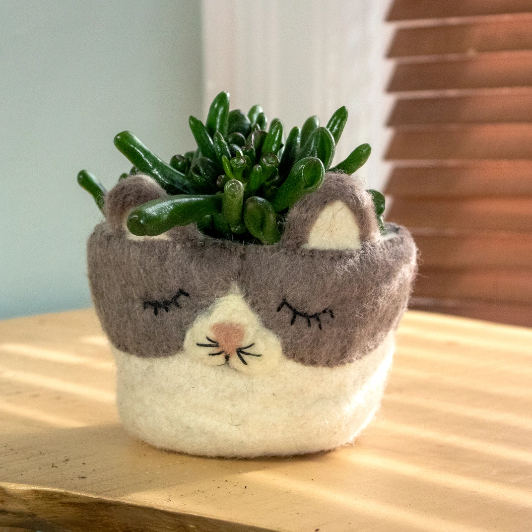 Felted Planter - Cat