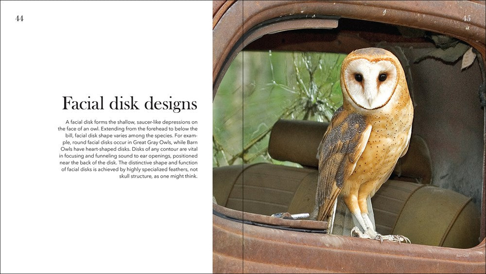 Owls: The Majestic Hunters Book