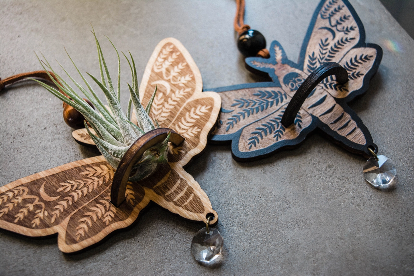 Death's Head Moth Air Plant Hanger Suncatcher