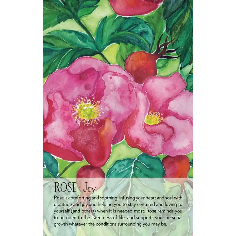 Soulflower Plant Spirit Oracle Cards
