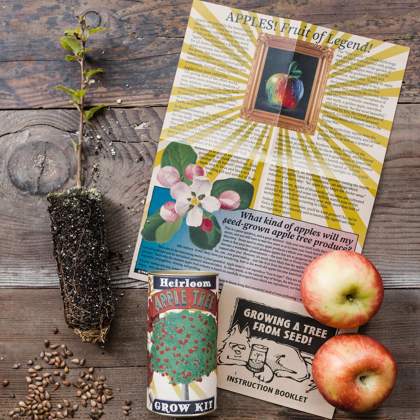 Apple Tree Seed Grow Kit