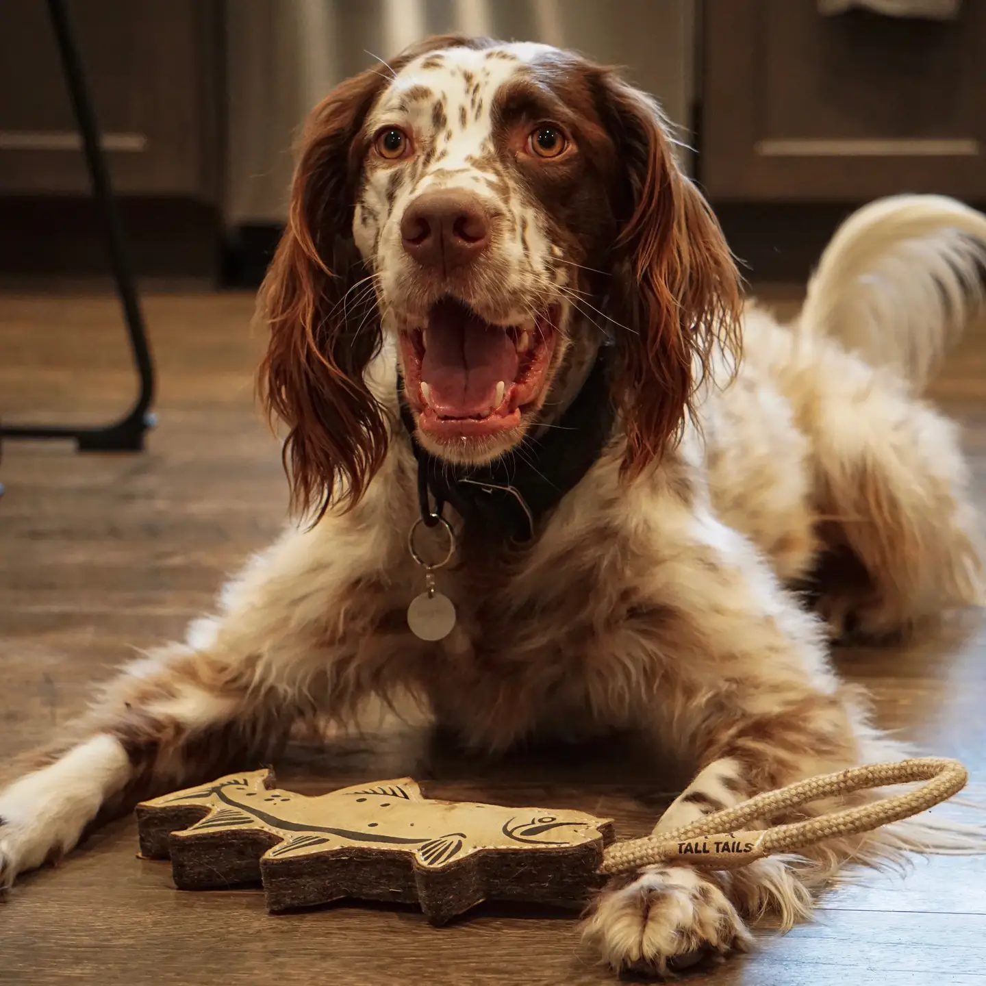Natural Leather Trout Tug Dog Toy - 16"