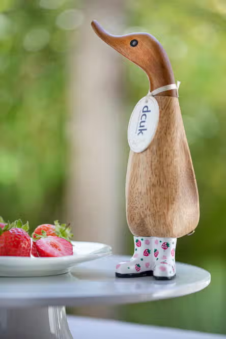 Wild Strawberry Duckling