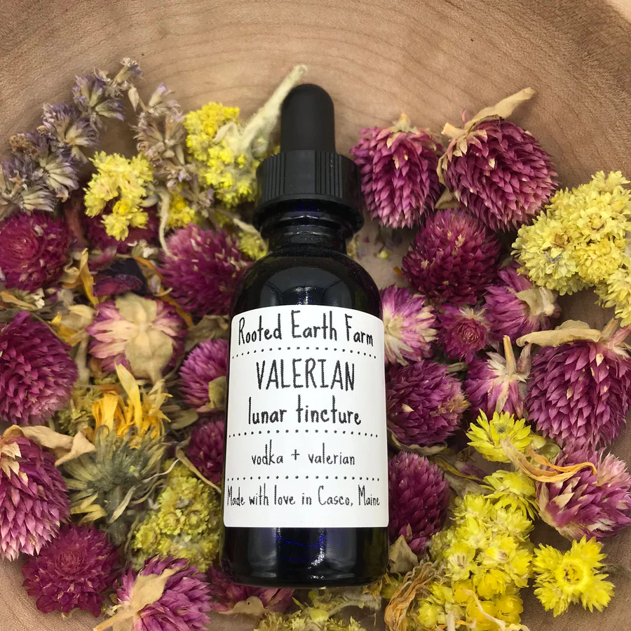 Valerian Tincture - 1oz