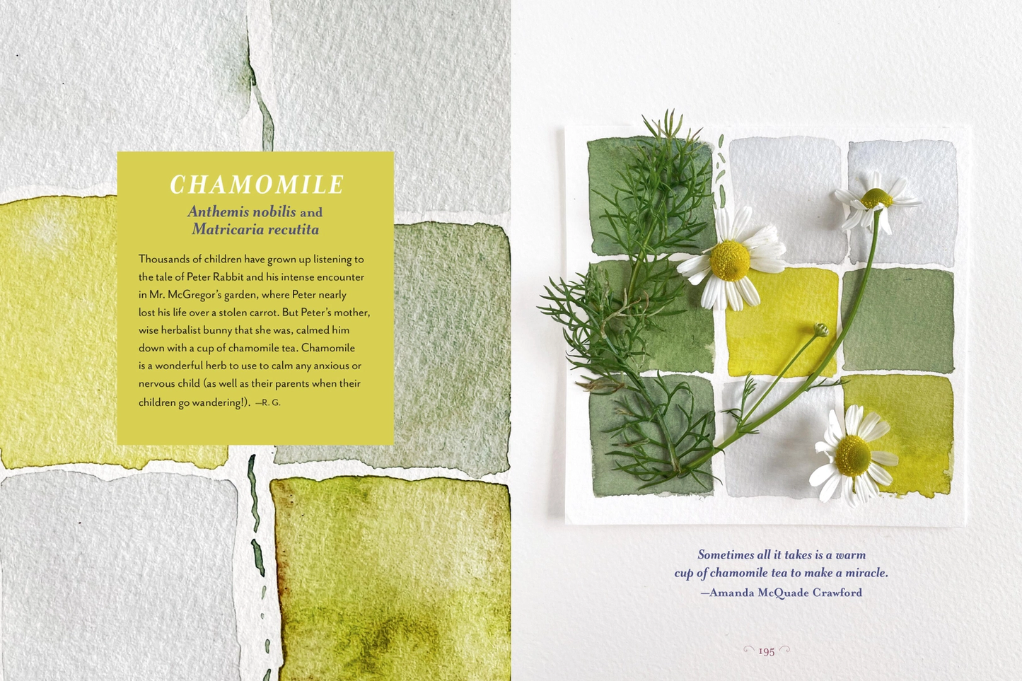 The Generosity of Plants Book