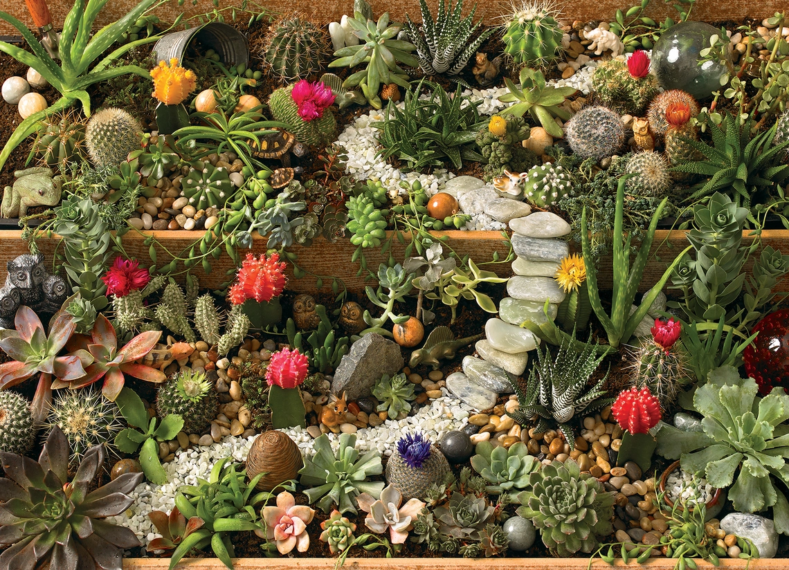 Succulent Garden Puzzle 1000pc