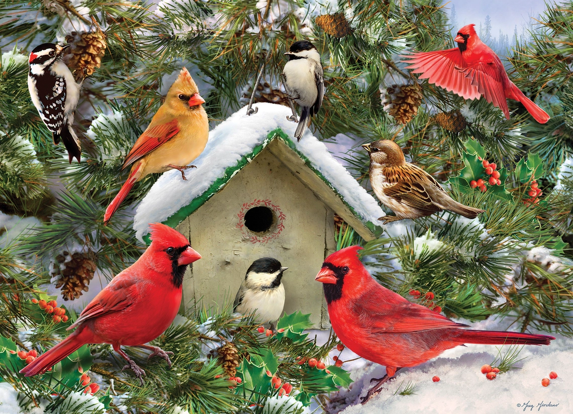Festive Feast Puzzle 1000pc