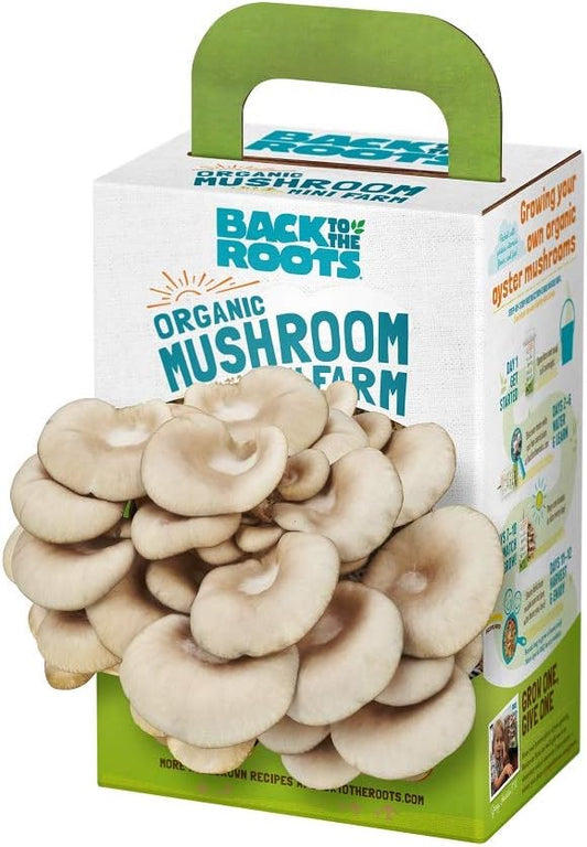 Mini Mushroom Grow Kit
