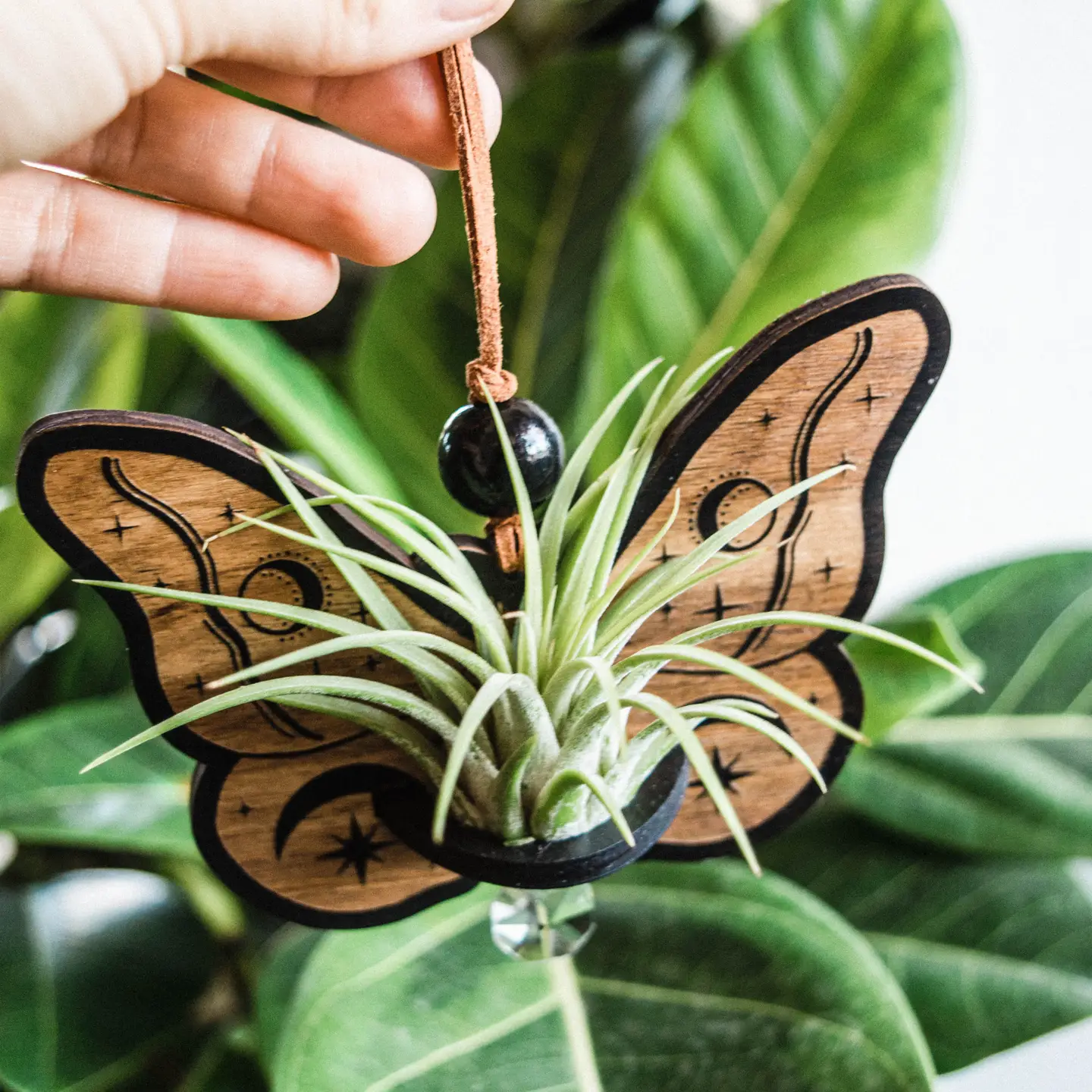 Celestial Moth Air Plant Hanger Suncatcher