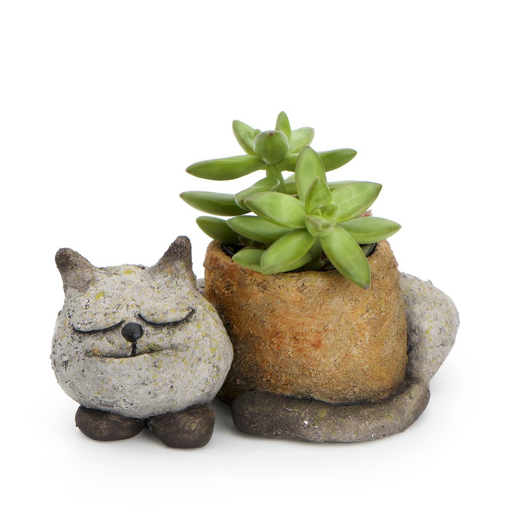 indoor cat planter Cat Planter Sleepy Kitty – Weeds