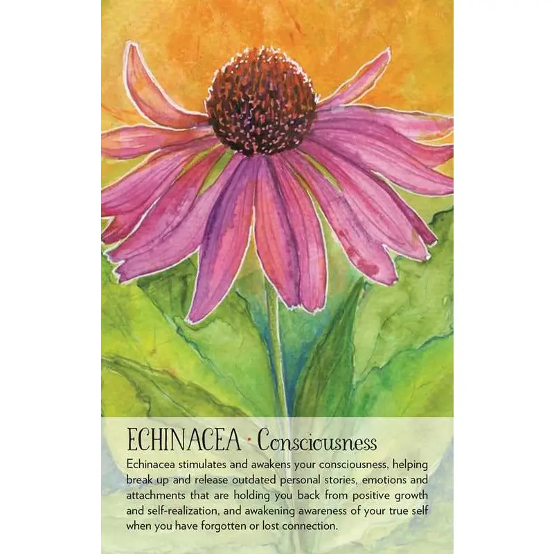 Soulflower Plant Spirit Oracle Cards