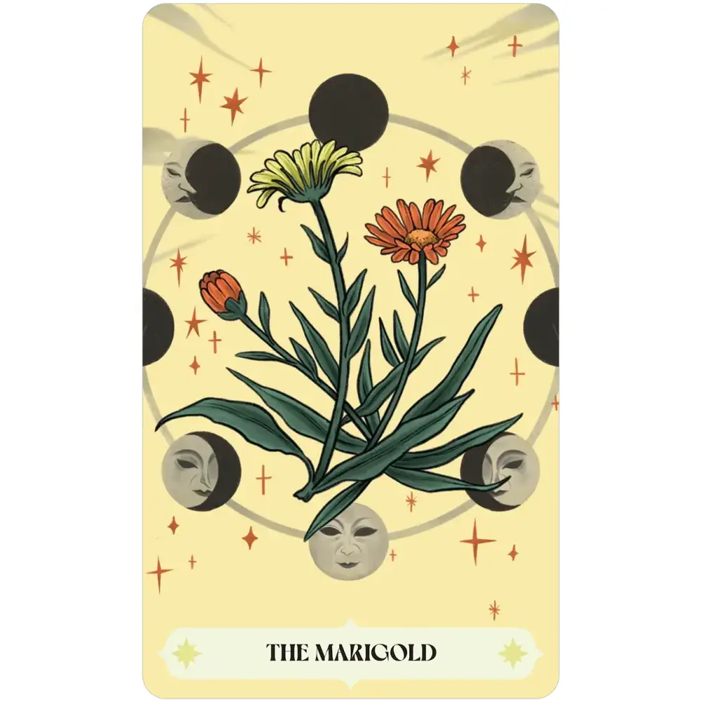 Herbana Witch Oracle Cards