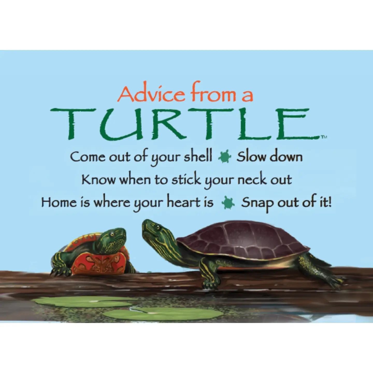 Magnet Advice from a Turtle